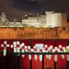 L'installation ''Blood Swept Lands and Seas of Red'' finalisée, comptant 888 246 coquelicots en céramique, signée Paul Cummins à la Tour de Londres, le 11 novembre 2014.