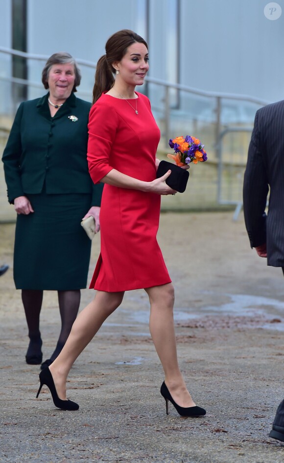 Kate Middleton en mission dans le Norfolk pour l'EACH le 25 novembre 2014