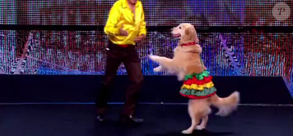 José et son merengue dog - "La France a un incroyable talent 2015" sur M6. Episode 1 diffusé le 9 décembre 2014.