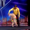 José et son merengue dog - "La France a un incroyable talent 2015" sur M6. Episode 1 diffusé le 9 décembre 2014.