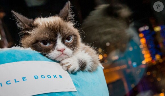 Grumpy Cat, lors d'une séance de dédicaces de livres à Kitson à Las Vegas, le 5 août 2014
