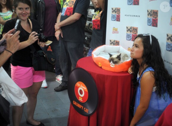 Grumpy Cat à New York, le 16 juillet 2014