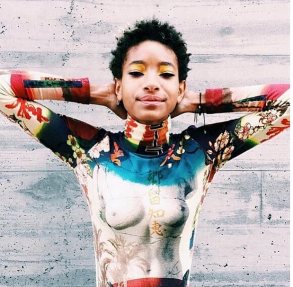Le 22 janvier dernier, Willow Smith a posté une nouvelle photo d'elle plutôt provocante où elle pose avec un tee-shirt en trompe l'oeil qui laisserait deviner le haut de son corps.