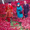 La reine Elizabeth II découvrant le 16 octobre 2014 l'installation Blood Swept Lands and Seas of Red de Paul Cummins à la Tour de Londres pour le centenaire de la Première Guerre mondiale.