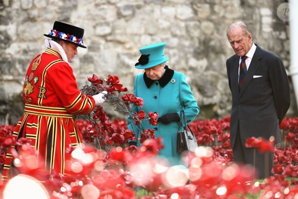 La reine Elizabeth II découvrant le 16 octobre 2014 l'installation Blood Swept Lands and Seas of Red de Paul Cummins à la Tour de Londres pour le centenaire de la Première Guerre mondiale.