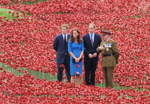 Kate Middleton, le prince William et le prince Harry découvrant le 5 août 2014 l'installation Blood Swept Lands and Seas of Red de Paul Cummins à la Tour de Londres pour le centenaire de la Première Guerre mondiale.