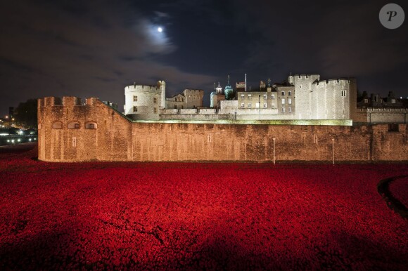 L'installation Blood Swept Lands and Seas of Red de Paul Cummins à la Tour de Londres, complétée le 11 novembre 2014, pour le centenaire de la Première Guerre mondiale.