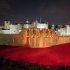 L'installation Blood Swept Lands and Seas of Red de Paul Cummins à la Tour de Londres, complétée le 11 novembre 2014, pour le centenaire de la Première Guerre mondiale.