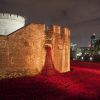 L'installation Blood Swept Lands and Seas of Red de Paul Cummins à la Tour de Londres, complétée le 11 novembre 2014, pour le centenaire de la Première Guerre mondiale.