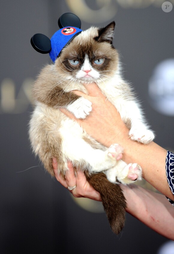 Grumpy Cat lors de l'avant-première du film Cendrillon à Los Angeles le 1er mars 2015