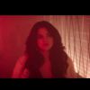 Le 10 mars 2015, Selena Gomez a dévoilé son clip I Want You To Know, hommage à son histoire d'amour avec Zedd.