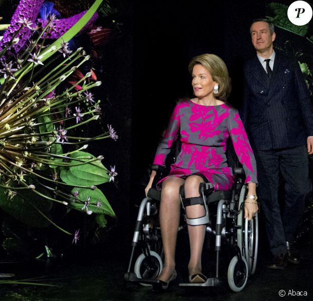 La reine Mathilde de Belgique, toujours handicapée après son accident à la neige, découvrait le 25 mars 2015 l'exposition Inspirations du couturier Dries van Noten, dont elle portait une robe pour l'occasion.
