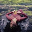 Björk - Family (moving album cover) - extrait de l'album Vulnicura, janvier 2015.