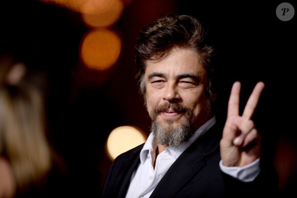 Benicio Del Toro à Los Angeles, le 10 décembre 2014.