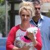 Britney Spears se balade avec son petit chien Lacy Loo dans les bras, dans les rues de Thousand Oaks, le 16 mars 2013.