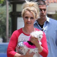 Britney Spears : Les sommes hallucinantes qu'elle dépense pour ses chiens...