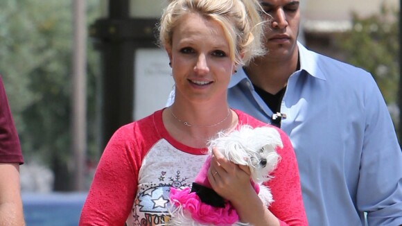 Britney Spears : Les sommes hallucinantes qu'elle dépense pour ses chiens...