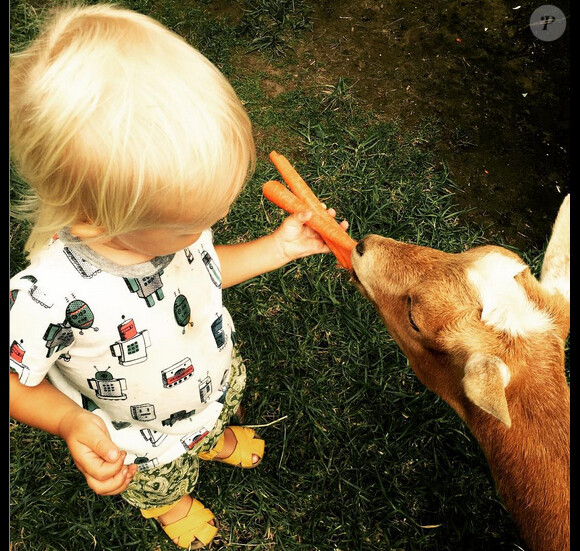 Teresa Palmer a ajouté une photo de son fils Bodhi sur sa page Instagram / juillet 2015