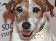 Uggie, le chien de Jean Dujardin dans The Artist, est mort
