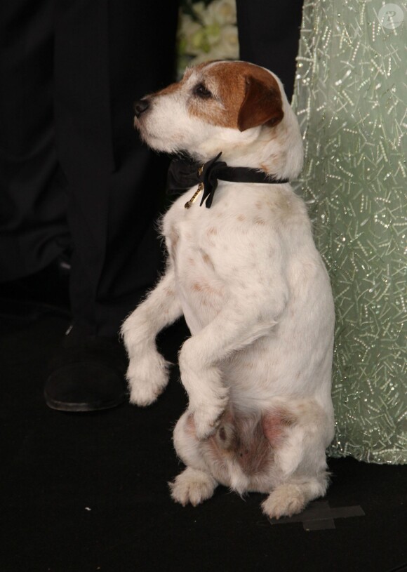 Uggie aux Oscars 2012.