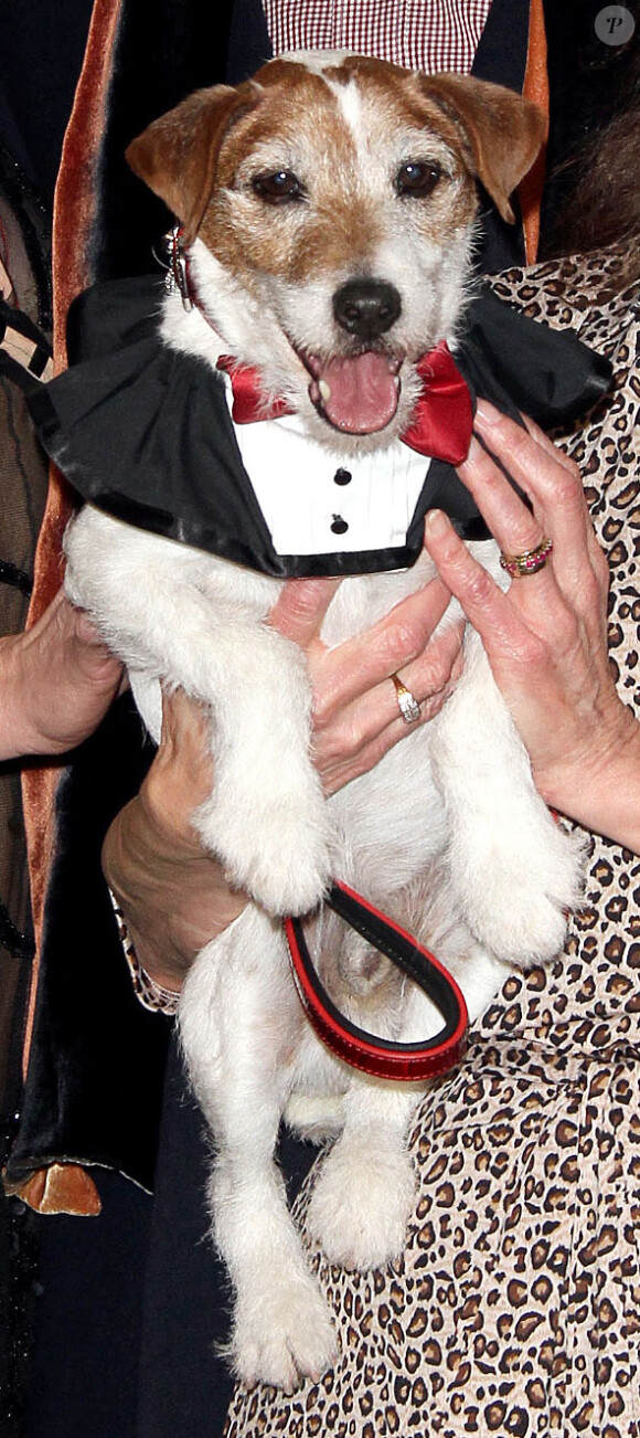 Uggie le chien aux Golden Collar Awards à Century City le 13 février 2012.