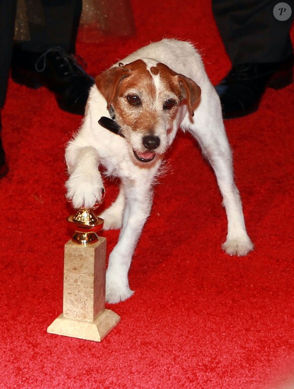 Uggie aux Golden Globe Awards 2012.