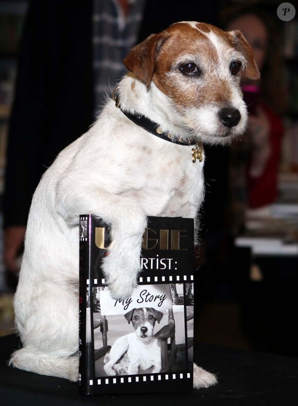Uggie the dog avec son autobiographie, Uggie,The Artist: My Story, à Londres le 30 octobre 2012.