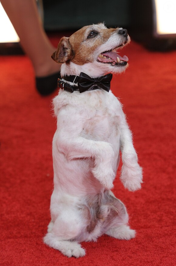 Uggie the dog aux Golden Globe Awards 2012.