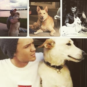 Chad Michael Murray pleure la mort de son chien Joe / août 2015
