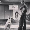 Chad Michael Murray a ajouté une photo avec son chien Joe / photo postée sur le compte Instagram de l'acteur.