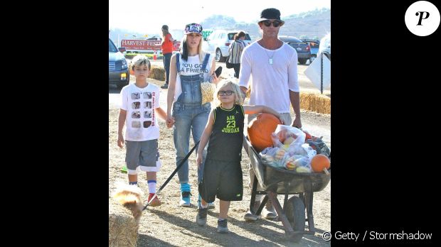 Gwen Stefani et Gavin Rossdale, parents de trois garçons, ont annoncé en août 2015 leur divorce.