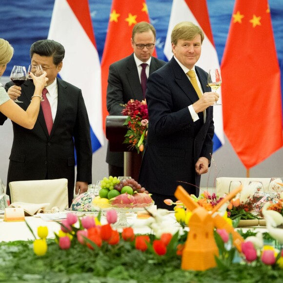 La reine Maxima des Pays-Bas, malgré une néphrite diagnostiquée le matin même, prenait part le 26 octobre 2015 avec le roi Willem-Alexander au dîner d'Etat organisé à Pékin par le président chinois Xi Jinping et sa femme Peng Liyuan. Le lendemain, elle était rapatriée et hospitalisée.