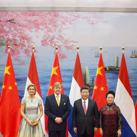 La reine Maxima des Pays-Bas, malgré une néphrite diagnostiquée le matin même, prenait part le 26 octobre 2015 avec le roi Willem-Alexander au dîner d'Etat organisé à Pékin par le président chinois Xi Jinping et sa femme Peng Liyuan. Le lendemain, elle était rapatriée et hospitalisée.