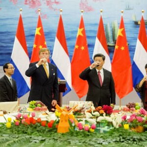 La reine Maxima des Pays-Bas, malgré une néphrite diagnostiquée le matin même, prenait part le 26 octobre 2015 avec le roi Willem-Alexander au dîner d'Etat organisé à Pékin par le président chinois Xi Jinping et sa femme Peng Liyuan. Le lendemain, elle était rapatriée et hospitalisée.
