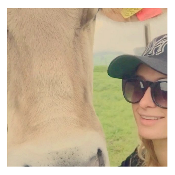 Paris Hilton en Suisse découvre les verts paturages et les vaches / photo postée sur le compte Instagram de l'héritière américaine.