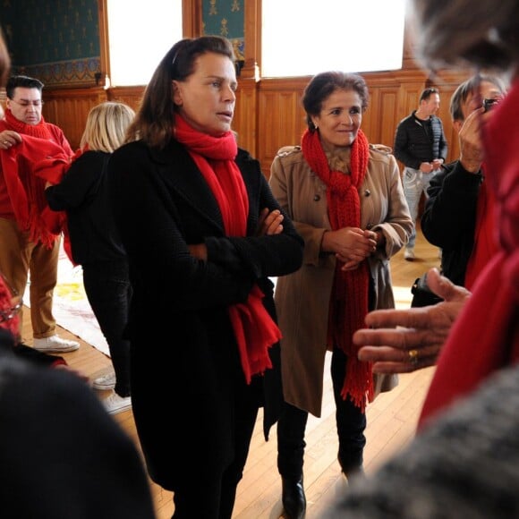 La princesse Stéphanie de Monaco participe au déploiement des "Courtepointes" en mémoire des victimes du SIDA, au Musée Océanographique de Monaco, le 27 novembre 2015. ©Bruno Bébert/Bestimage