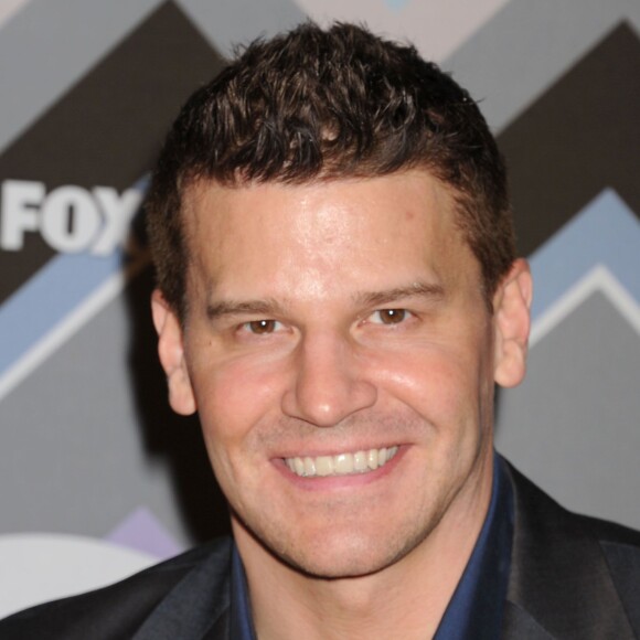 David Boreanaz - 2013 TCA Winter Press Tour à Los Angeles. Le 11 Janvier 2013.