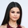Selena Gomez - La 43ème cérémonie annuelle des "American Music Awards" à Los Angeles, le 22 novembre 2015.