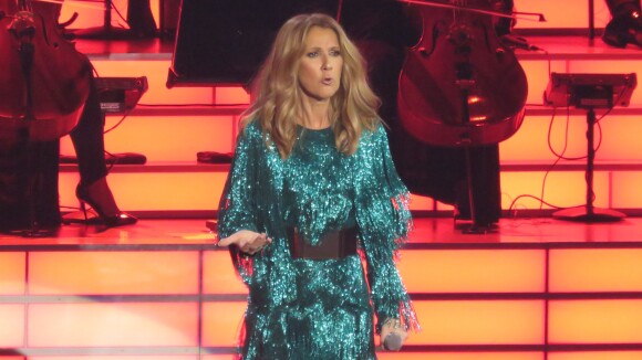 Céline Dion : Frayeur sur scène, un fan tente de la toucher !