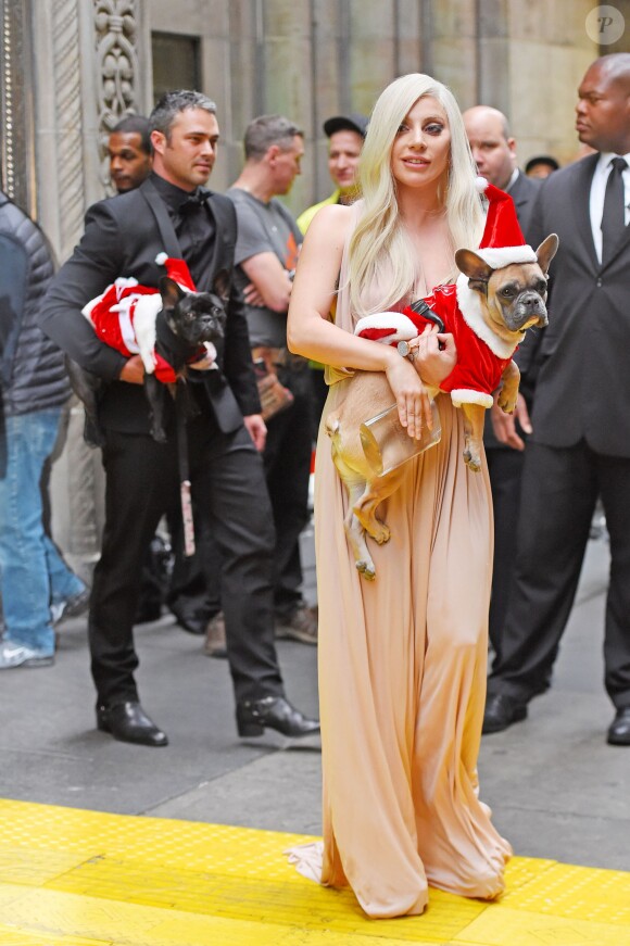 Lady Gaga et son compagnon Taylor Kinney arrivent avec leurs chiens, Miss Asia and Koji déguisés en père Noël à New York le 11 décembre 2015. © CPA/Bestimage