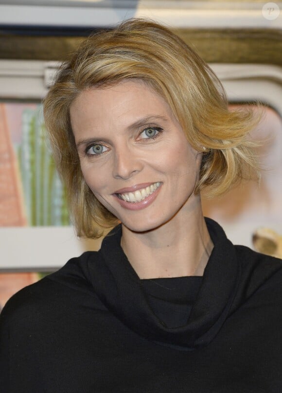Sylvie Tellier - Avant-première du film "Zootopie" au cinéma Gaumont Marignan à Paris, le 28 janvier 2016. © Coadic Guirec/Bestimage