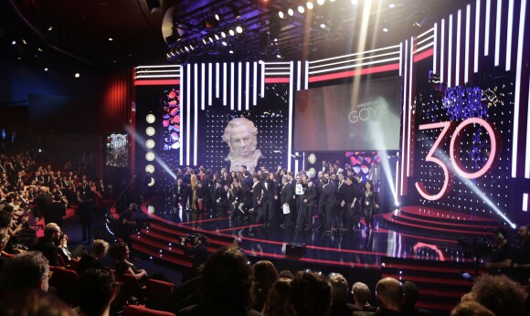 30ème cérémonie des prix Goya à l'auditorium du Madrid Marriott à Madrid, le 6 février 2016.