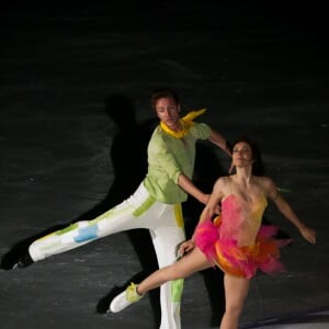 Nathalie Péchalat et Fabien Bourzat en spectacle avec l'équipe de France de patinage à Boulogne-Billancourt le 26 avril 2014