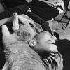 Gigi Hadid a publié une photo de son chat Chub et son amoureux Zayn Malik sur sa page Instagram, au mois de février 2016.
