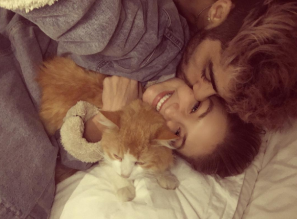 Gigi Hadid annonce le décès de son chat Chub sur sa page Instagram en publiant une photo du félin avec son amoureux Zayn Malik. Le 20 mars 2016.
