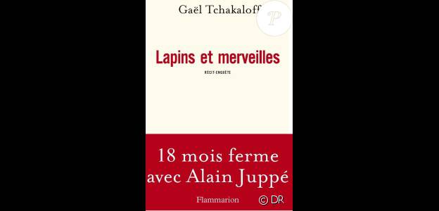 Le livre de Gaël Tchakaloff, Lapins et merveilles, aux éditions Flammarion
