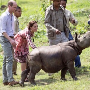 Kate Middleton (en robe Topshop) et le prince William ont eu la chance de participer au nourrissage de deux éléphanteaux et un bébé rhinocéros le 13 avril 2016 dans un centre de sauvegarde et de réhabilitation des animaux sauvages dans le parc Kaziranga, dans l'Etat d'Assam, au 4e jour de leur visite officielle en Inde.