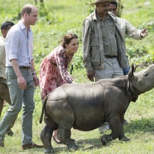 Kate Middleton (en robe Topshop) et le prince William ont eu la chance de participer au nourrissage de deux éléphanteaux et un bébé rhinocéros le 13 avril 2016 dans un centre de sauvegarde et de réhabilitation des animaux sauvages dans le parc Kaziranga, dans l'Etat d'Assam, au 4e jour de leur visite officielle en Inde.