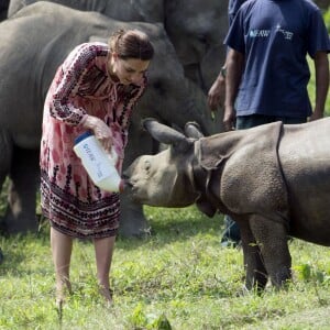 Kate Middleton (en robe Topshop) et le prince William ont eu la chance de participer au nourrissage de deux éléphanteaux et un bébé rhinocéros le 13 avril 2016 dans un centre de sauvegarde et de réhabilitation des animaux sauvages dans le parc Kaziranga, dans l'Etat d'Assam, au 4e jour de leur visite officielle en Inde.