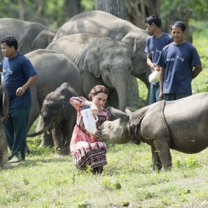 Kate Middleton (en robe Topshop) et le prince William ont eu la chance de participer au nourrissage de deux éléphanteaux et un bébé rhinocéros le 13 avril 2016 dans un centre de sauvegarde et de réhabilitation des animaux sauvages dans le parc Kaziranga, dans l'Etat d'Assam, au 4e jour de leur visite officielle en Inde.